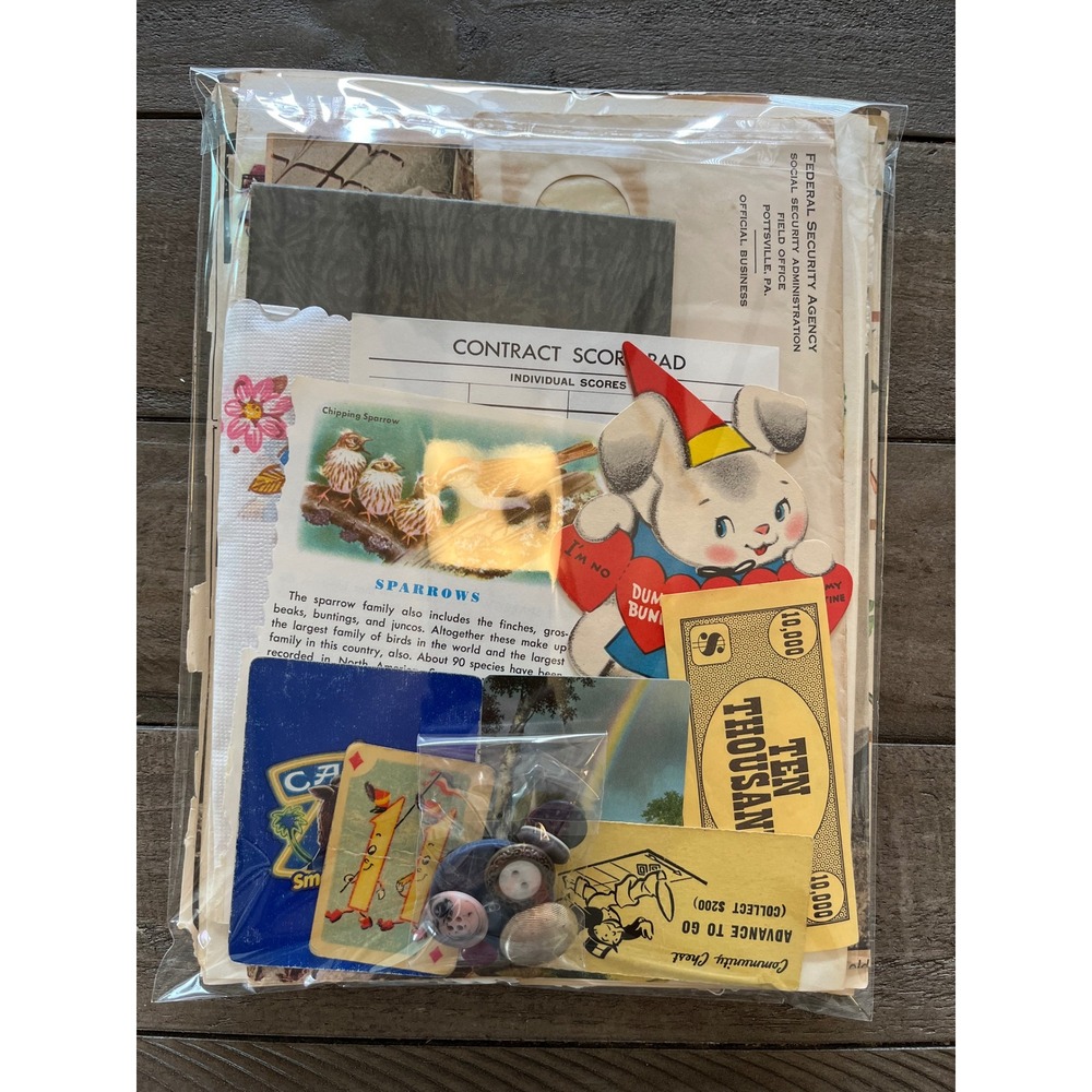 Ephemera Mystery Pack Junk Journal Scrapbook Paper Mixed Media Lot 40pc+